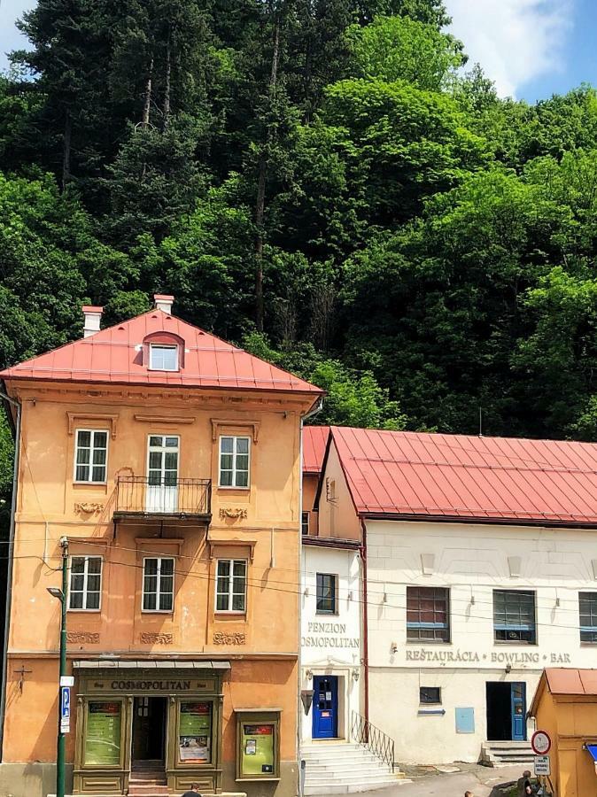 Penzion Cosmopolitan I. Banská Štiavnica 外观 照片